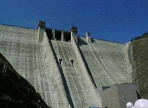 �_��������