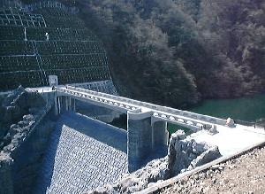 �Ώ����_��