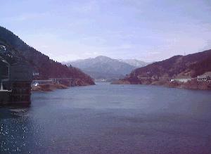 �{������