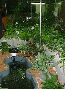 ��[�x�n���{��(5)