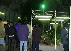 ��[�x�n���{��(4)